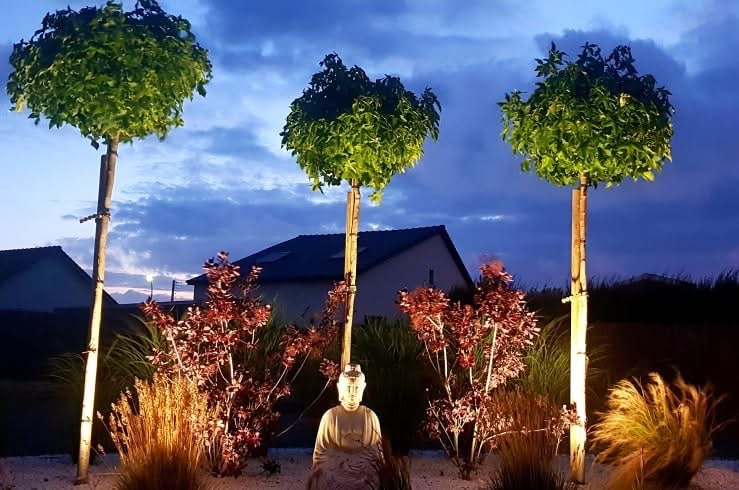 Jardin paysager éclairé à la tombée de la nuit