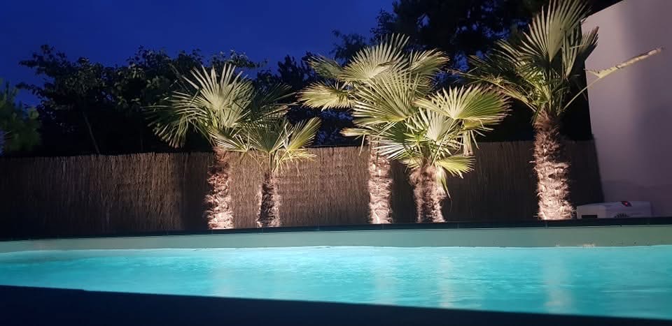 Piscine éclairée avec palmiers, aménagement Natur’Opale