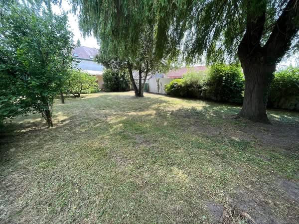 Après : grand jardin dégagé et tondue