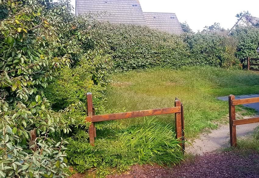 Avant : jardin en friche avant la remise en état par Natur’Opale
