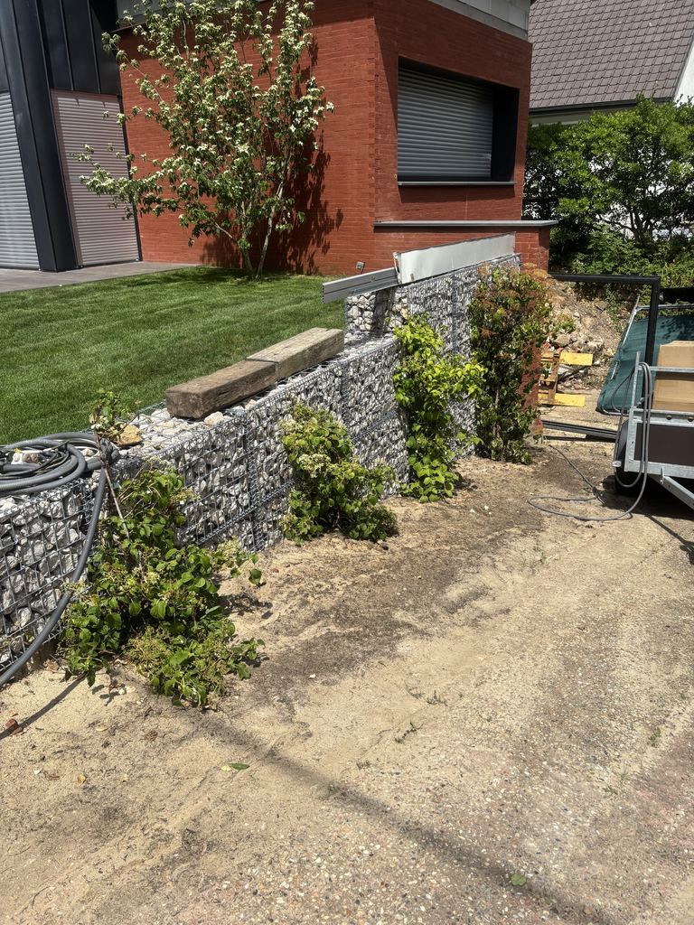 Le mur de gabions planté, vu depuis l’entrée
