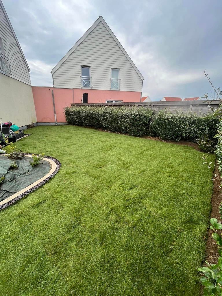 Pelouse et haie taillée devant une maison